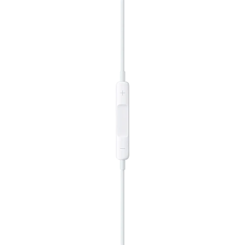 Apple EarPods (с разьемом USB-C)