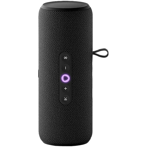 Домашняя мультимедийная платформа "Яндекс Станция Стрит", Черный