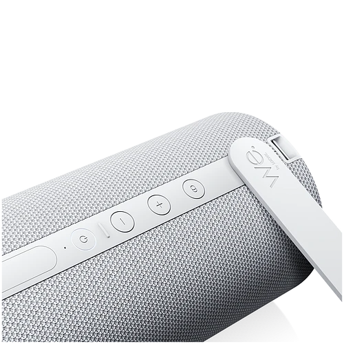 Портативная акустика WE. HEAR 2 By Loewe Portable Speaker 60W  Cool Grey арт. 60702S10